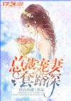 总裁宠妻套路深